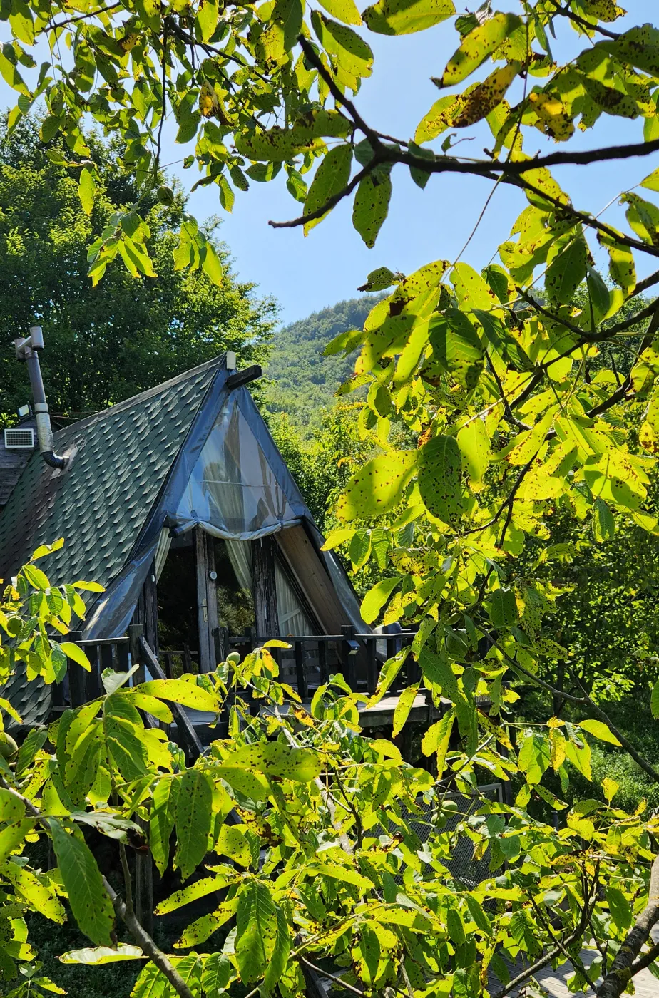 Piramitevim 1 fotoğraf 11
