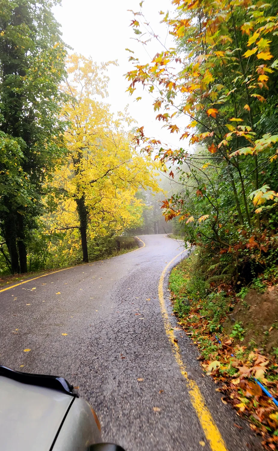 Dağevim fotoğraf