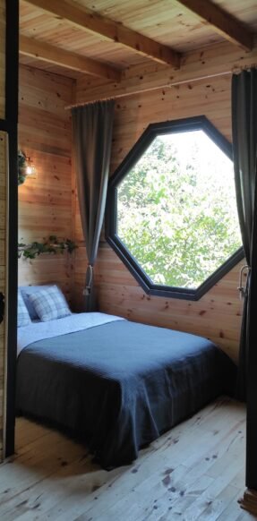 {{brizy_dc_image_alt imageSrc=